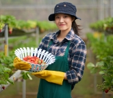 medium-shot-young-asian-woman-farmer-overall-holding-basket-ripe-strawberries (1)